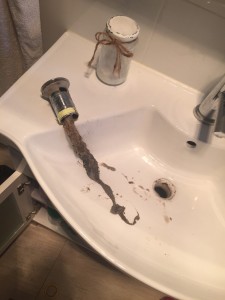 Mona Vale Blocked Sink                                          